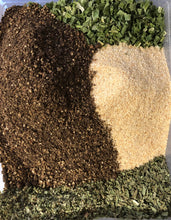 Load image into Gallery viewer, Funky Fungi